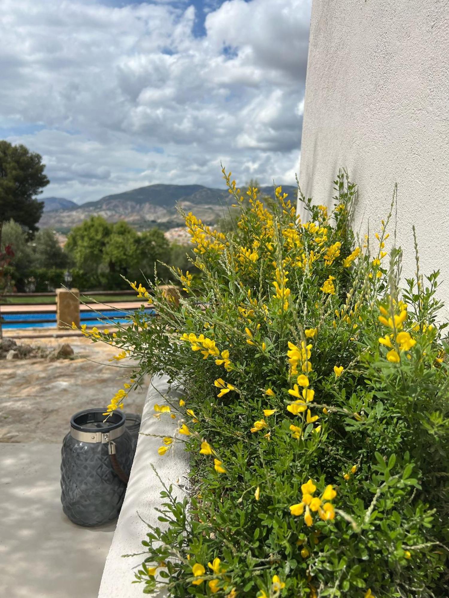 Lenta Suites Pozo Alcon Bagian luar foto