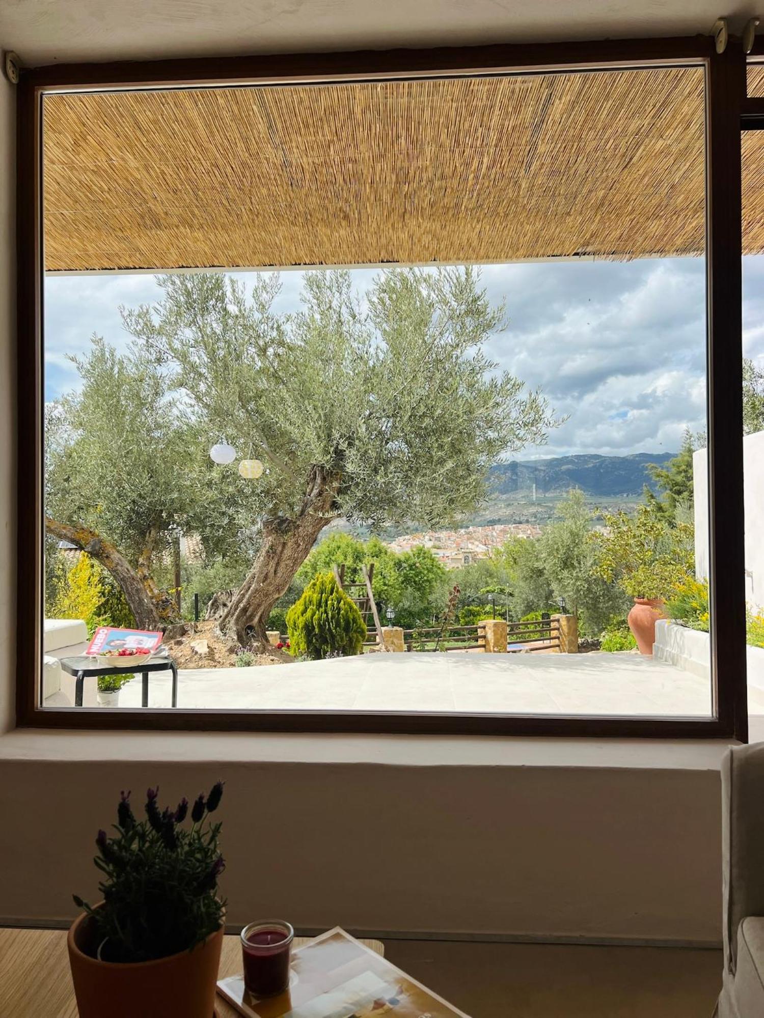 Lenta Suites Pozo Alcon Bagian luar foto